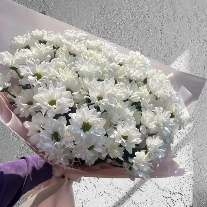 Букет из кустовой хризантемы &laquo;Пышное облако&raquo;