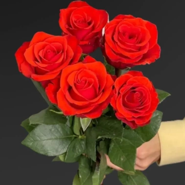 Моно букет из 5 роз