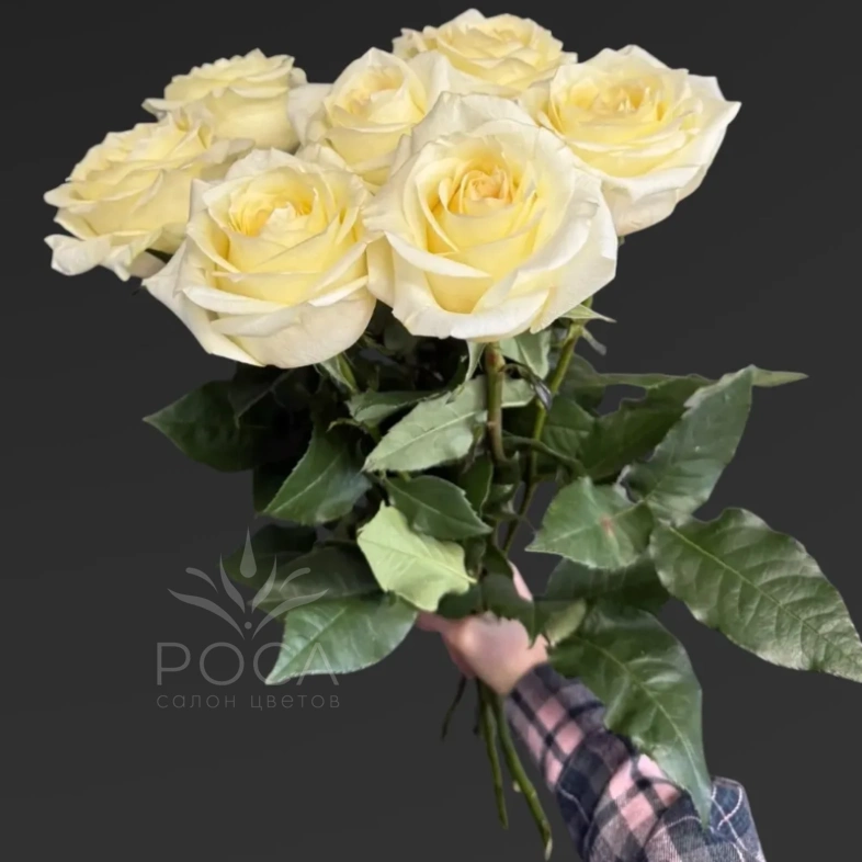 Монобукет из 7 роз &laquo;Кэндилайт&raquo;